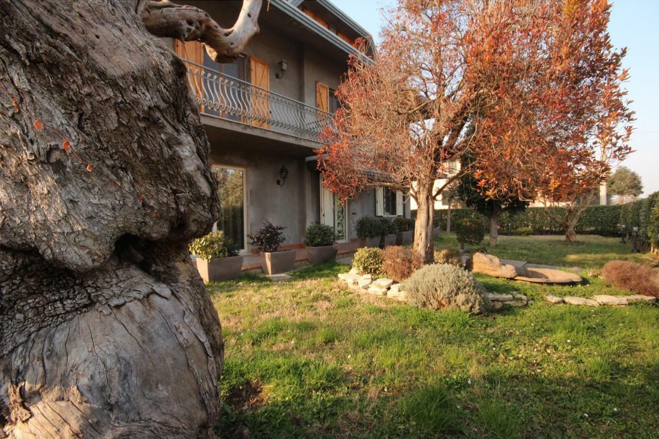 Magnolia Hotel Savignano sul Rubicone Buitenkant foto